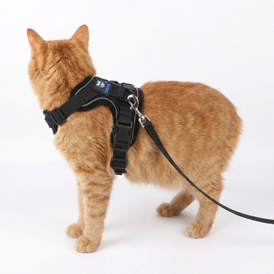 HANK Reflective Cat & Small Dog Harness With Leash For Daily Walks (Black)