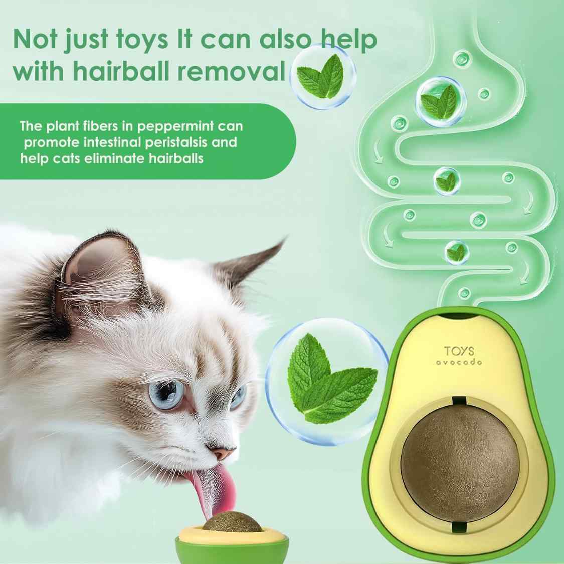 Catnip Wall Ball Toy | Rotating Dental Treat Toy for Cats