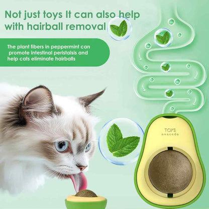 Catnip Wall Ball Toy | Rotating Dental Treat Toy for Cats