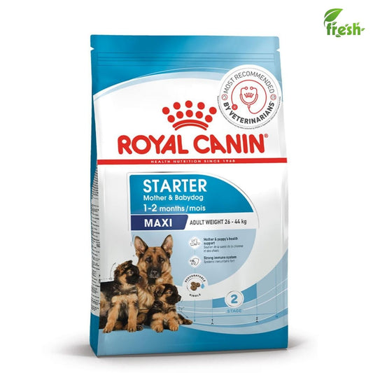 Royal Canin Maxi Starter Mother & Baby Dog Food | Gestation & Digestive Care