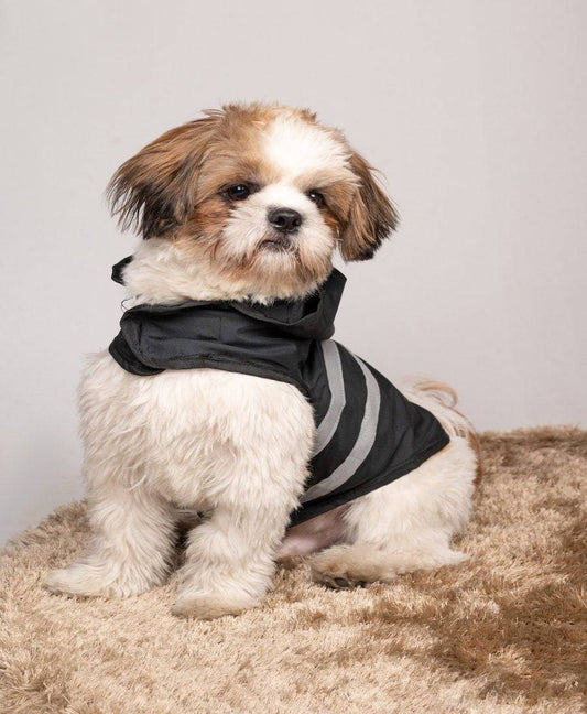 Black Raincoat For Dogs
