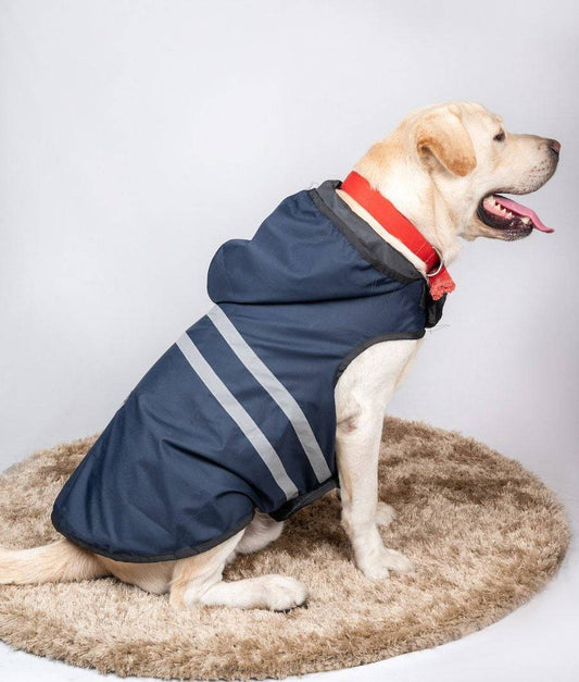 Dog Rain Coat