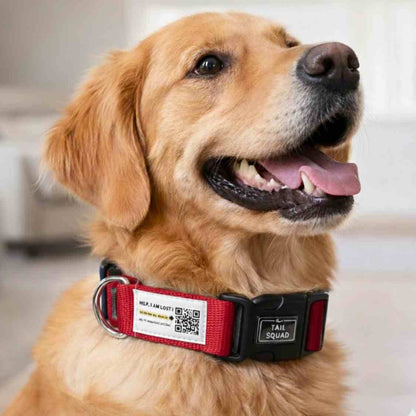 Pet Collar With QR Code | Smart ID Safety Collar For Dogs (Red)
