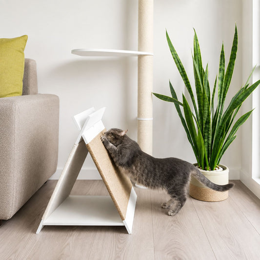 ScratchNest 2-in-1 Cat Bed & Scratcher | Cozy Cat Lounger & Scratching Pad