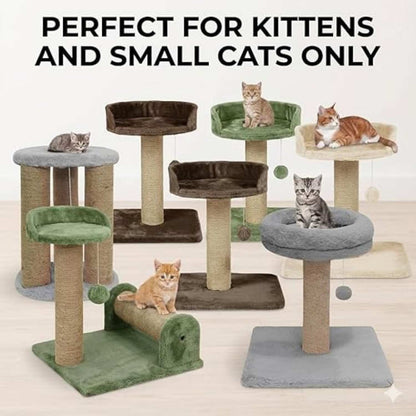 Activity Kitten Cat Tree - Hanging Ball | Top Seat | Jute Rope Scratching Post (Height 16 Inch)