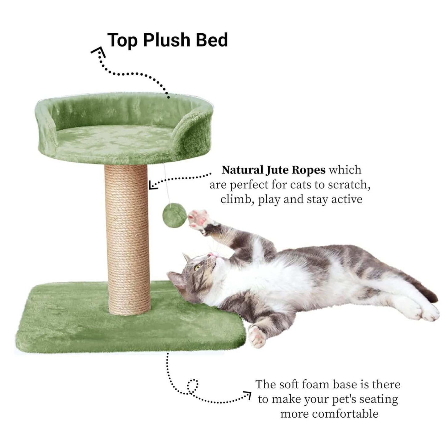 Activity Kitten Cat Tree - Hanging Ball | Top Seat | Jute Rope Scratching Post (Height 16 Inch)