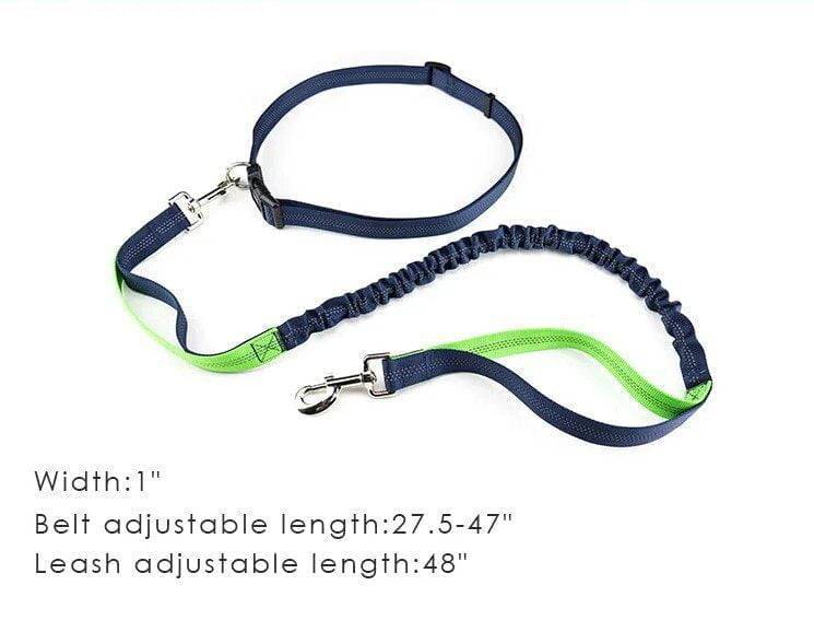 Reflective Stitching Dog Leash