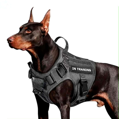 Black Tactical Dog Harness | Side Lock Buckle Design