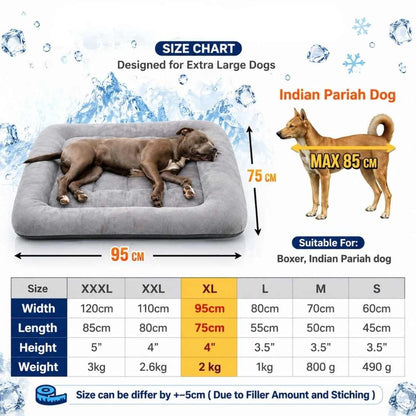 Silky Bolster Orthopedic Dog Bed | Soft & Luxury Pet Bed