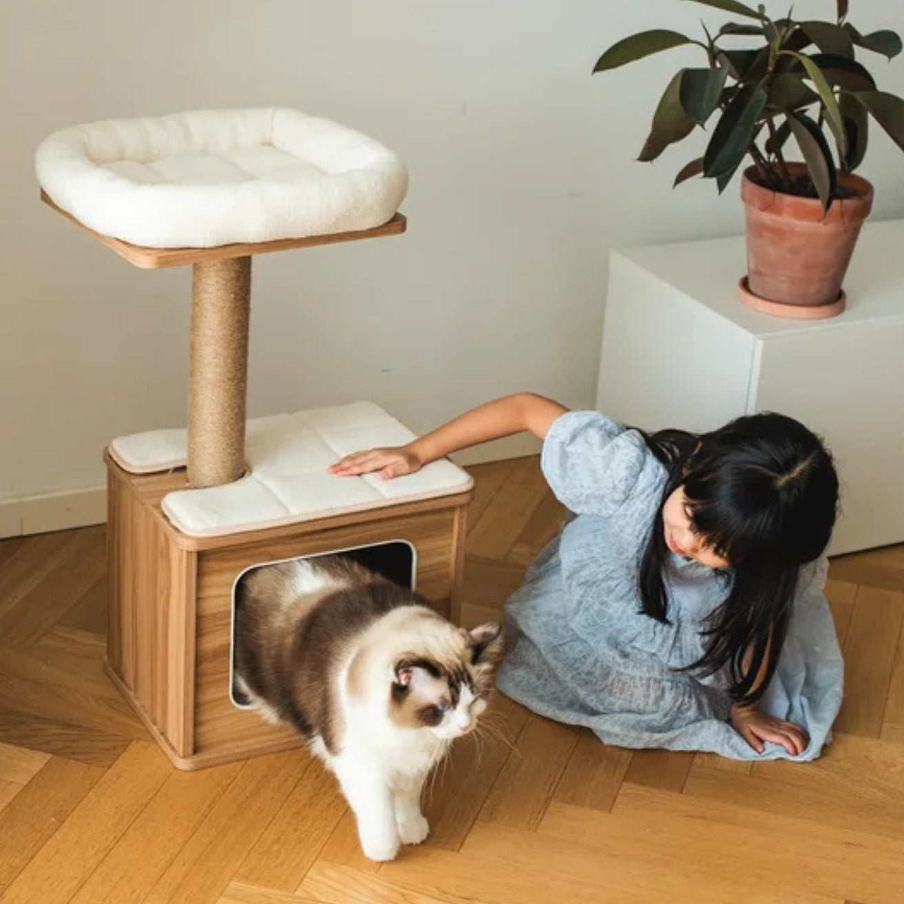 Small Wooden Cat Tree Condo with Scratching Post & Cozy Hideaway