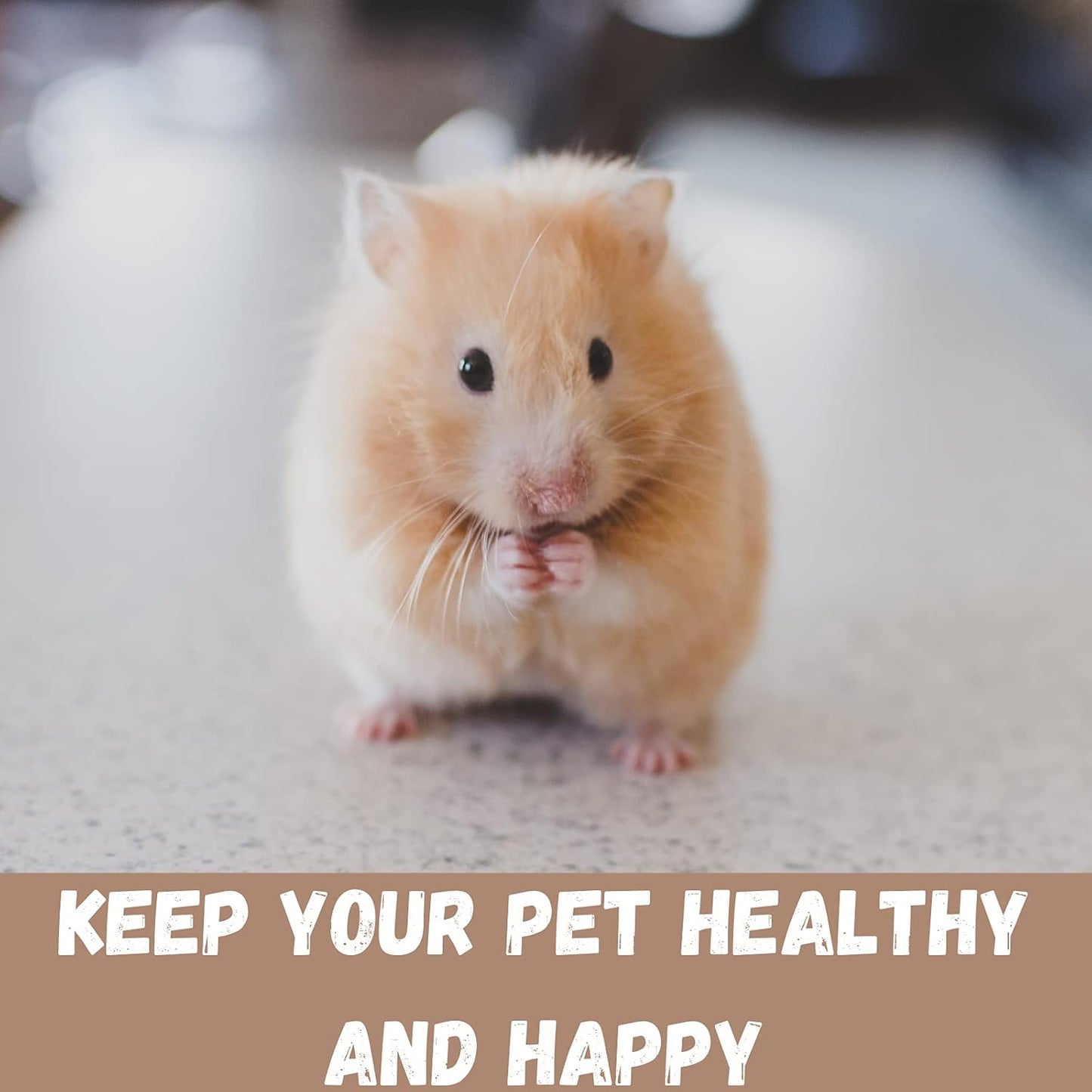 Martha Hamster & Guinea Pig Cage | Fun Activity Home for Small Pets