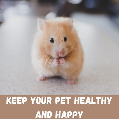 Martha Hamster & Guinea Pig Cage | Fun Activity Home for Small Pets