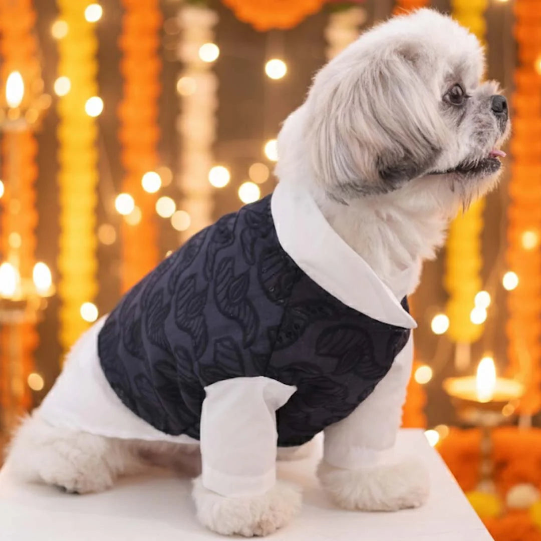 Royal Blue Modi Kurta for Dogs