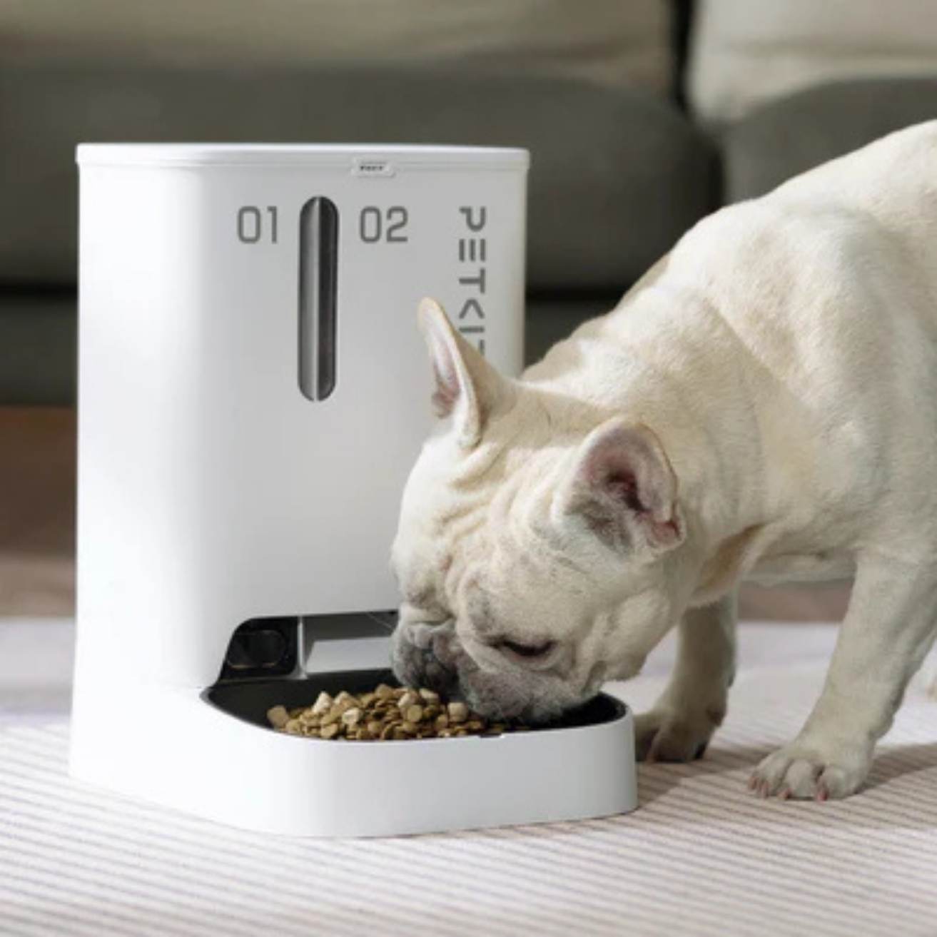 Automatic Pet Feeder with Camera | App Control & Auto Feeding