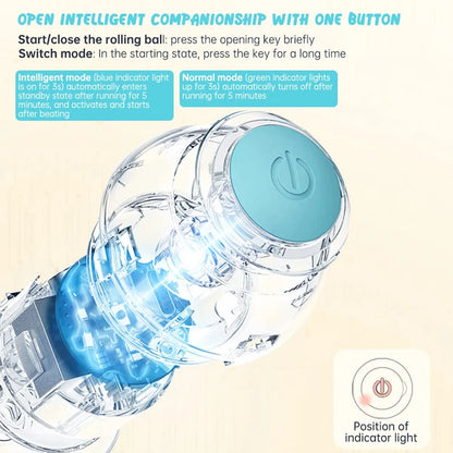 Automatic Rolling Cat & Dog Toy Ball –A Smart Toy for Happy, Healthy Cats & Dog