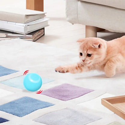 Automatic Rolling Cat & Dog Toy Ball –A Smart Toy for Happy, Healthy Cats & Dog