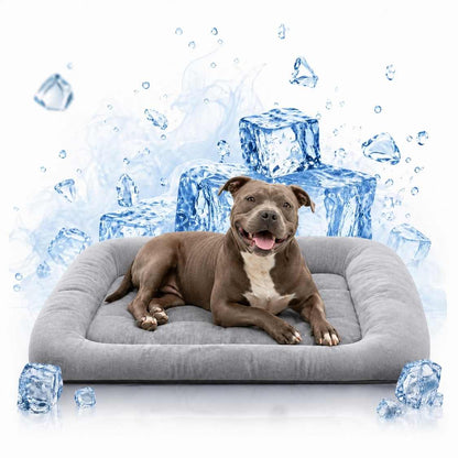 Silky Bolster Orthopedic Dog Bed | Soft & Luxury Pet Bed