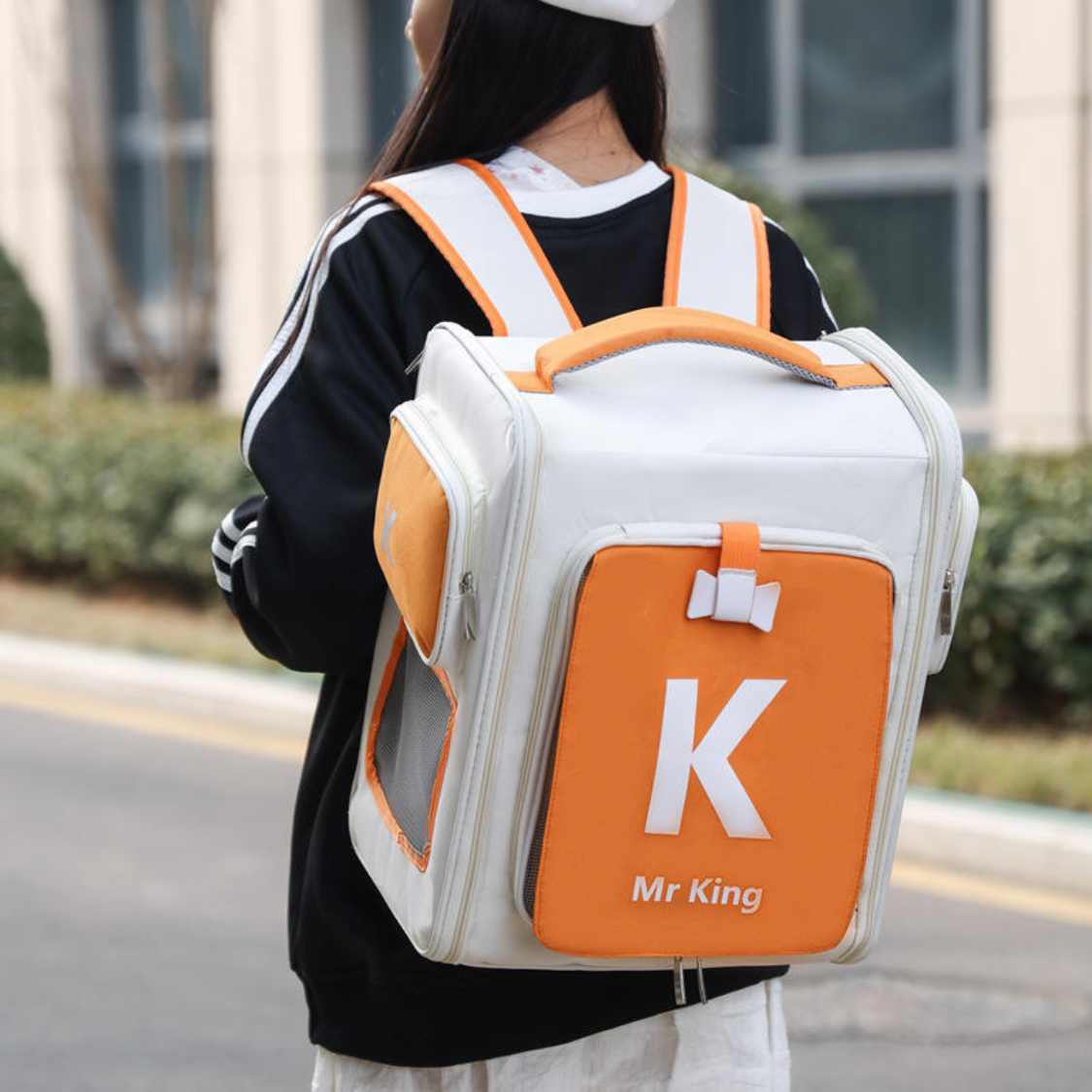 Expandable Pet Carrier Backpack for Cats & Small Dogs