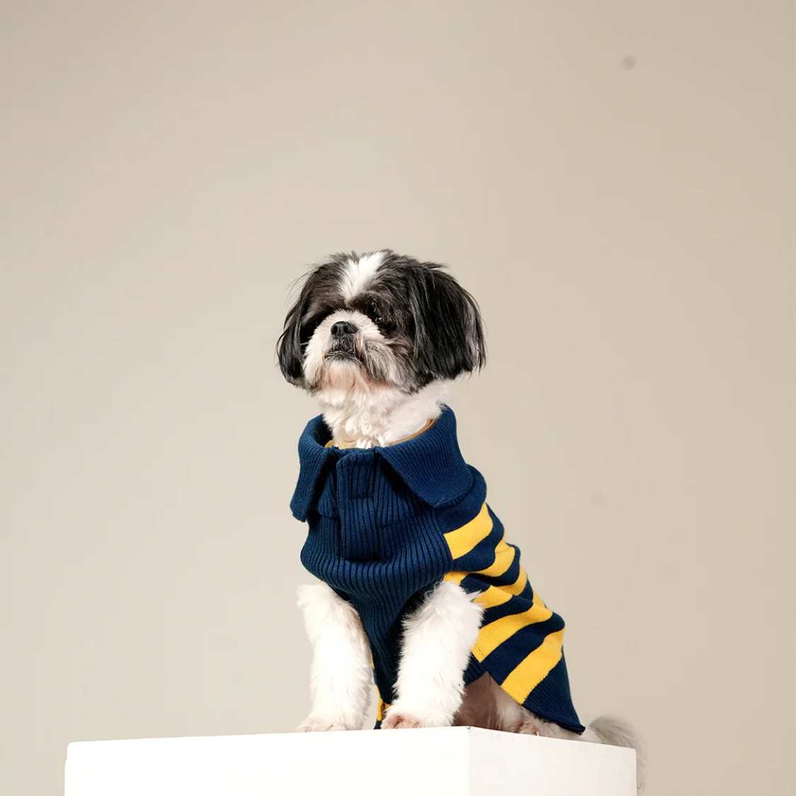 Honeybee Hug Sweater | Cozy Yellow Knit Pet Sweater
