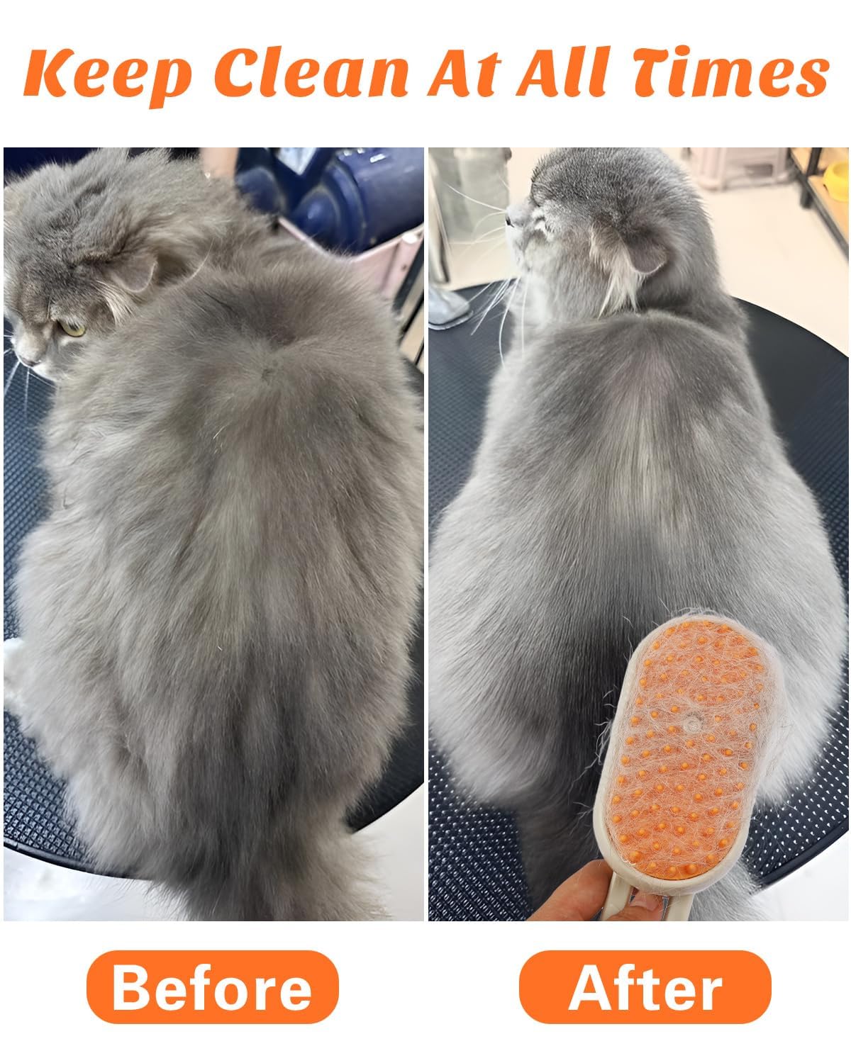 Pet Steam Brush | Steam Grooming & Hair Removal for Pets