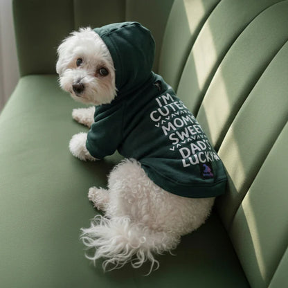 Olive Snug Hoodie | Cozy Olive Green Winter Pet Hoodie