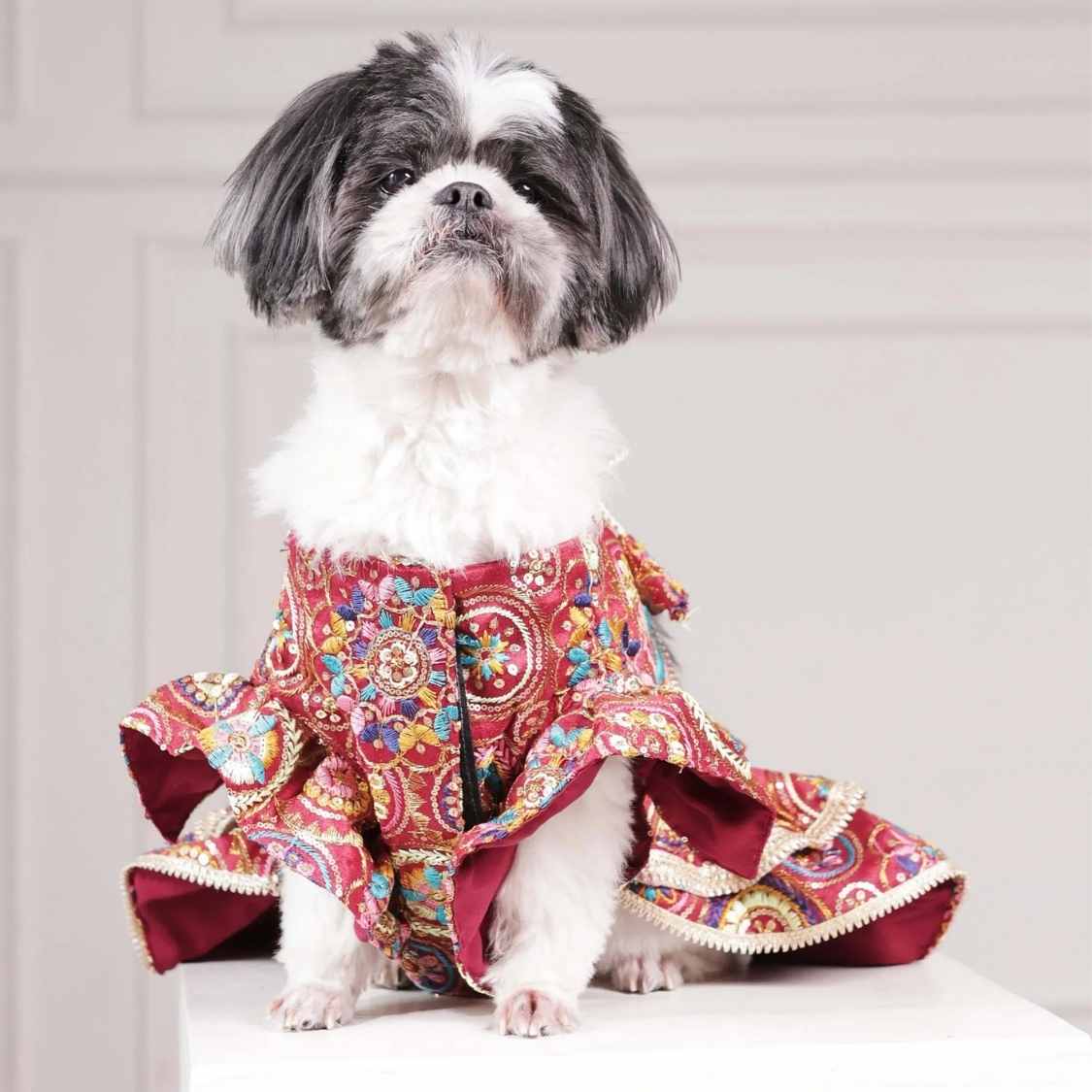 Luxury Embroidered Dog Lehenga | Royal Wedding Wear for Dogs