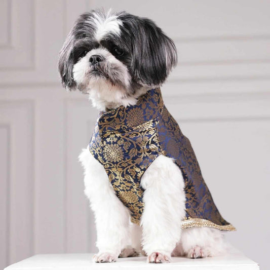 Royal Brocade Dog Kurta | Luxury Wedding & Festive Ethnic Wear (Navy & Gold)