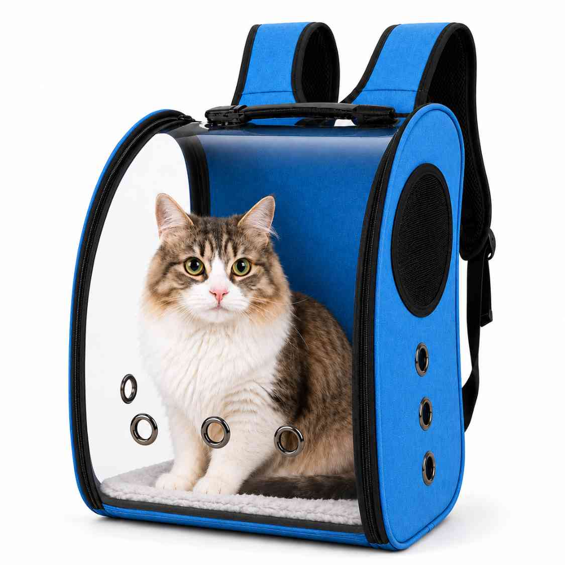 Transparent Pet Travel Backpack With Breathable Vents