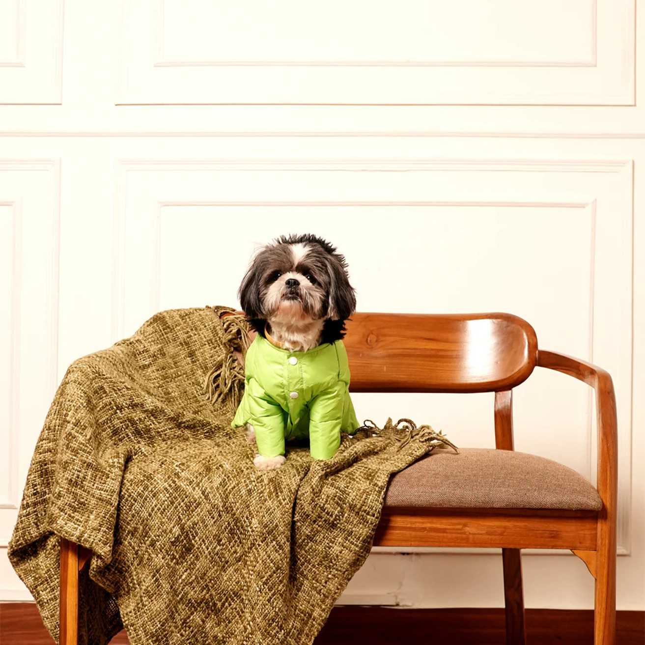 Neon Nibble Pet Hoodie | Stylish & Warm Pet Hoodie