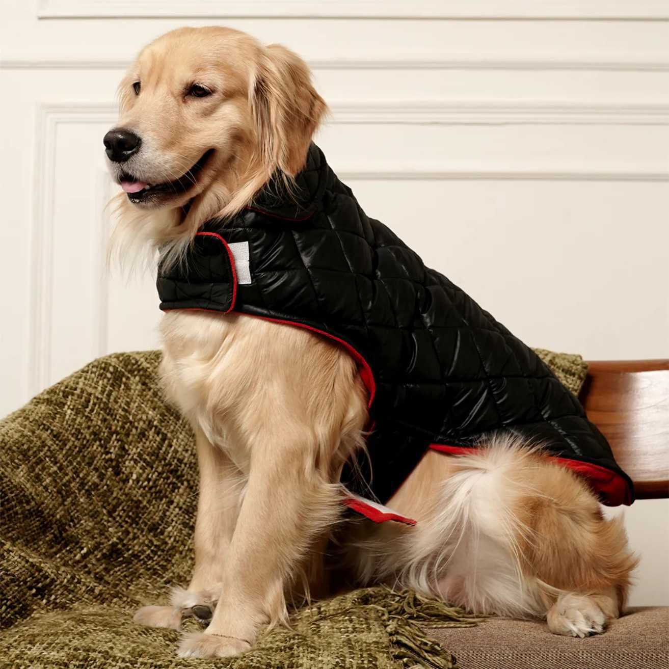 Black Luxe Quilted Pet Jacket with Red Collar | Stylish Winter Coat