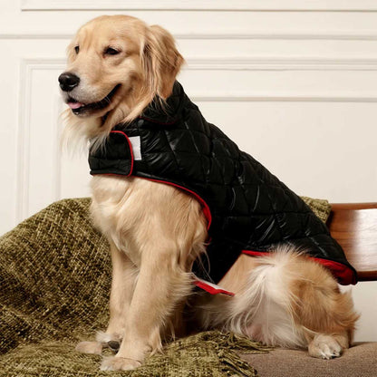 Black Luxe Quilted Pet Jacket with Red Collar | Stylish Winter Coat