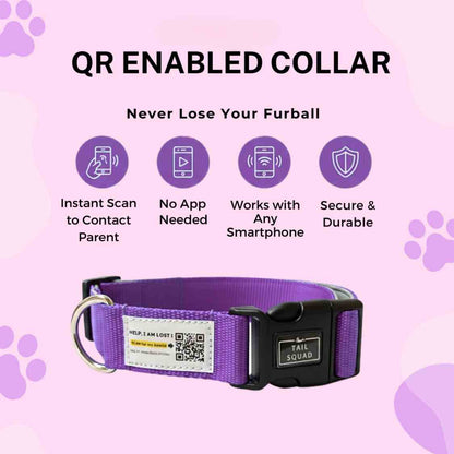 Pet Collar With QR Code | Smart ID Safety Collar For Dogs (Purple)