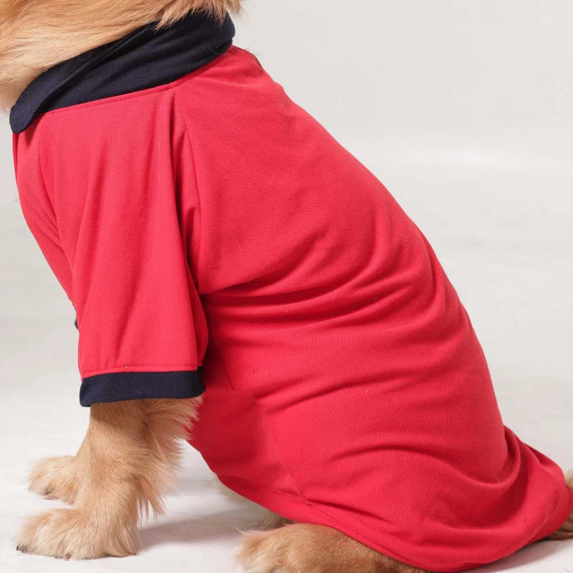 Classic Polycotton Dog T-Shirt | Soft & Breathable Everyday Dog Clothing (Red)