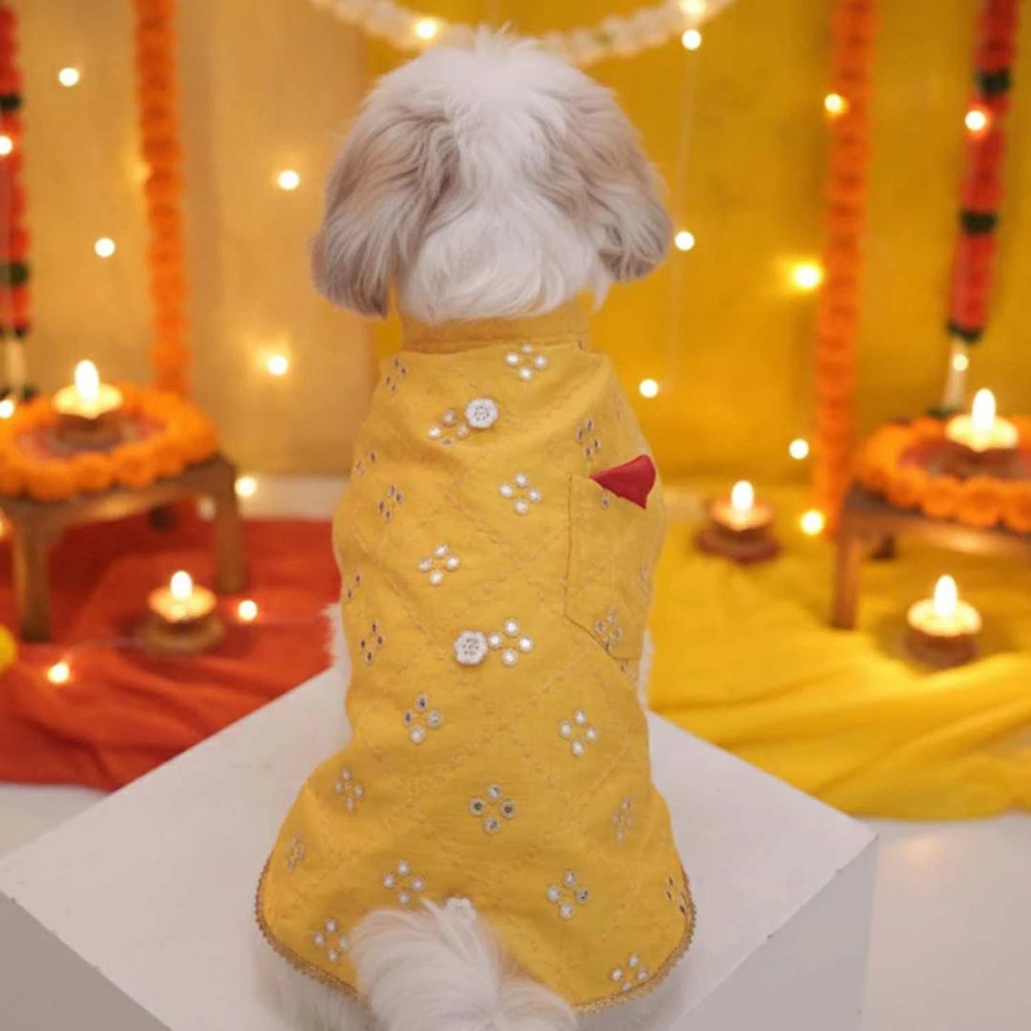 Sunshine Smiles Kurta for Dogs – Stylish Festive Wear for Pets