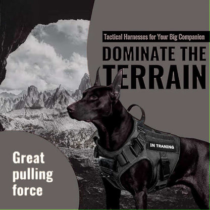 Black Tactical Dog Harness | Side Lock Buckle Design