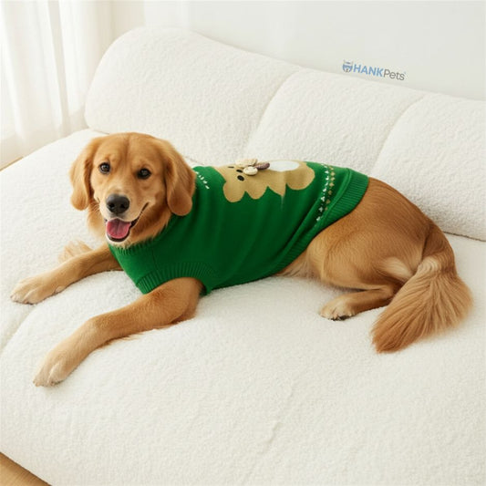 Teddy Bear Sweater For Dogs & Cats