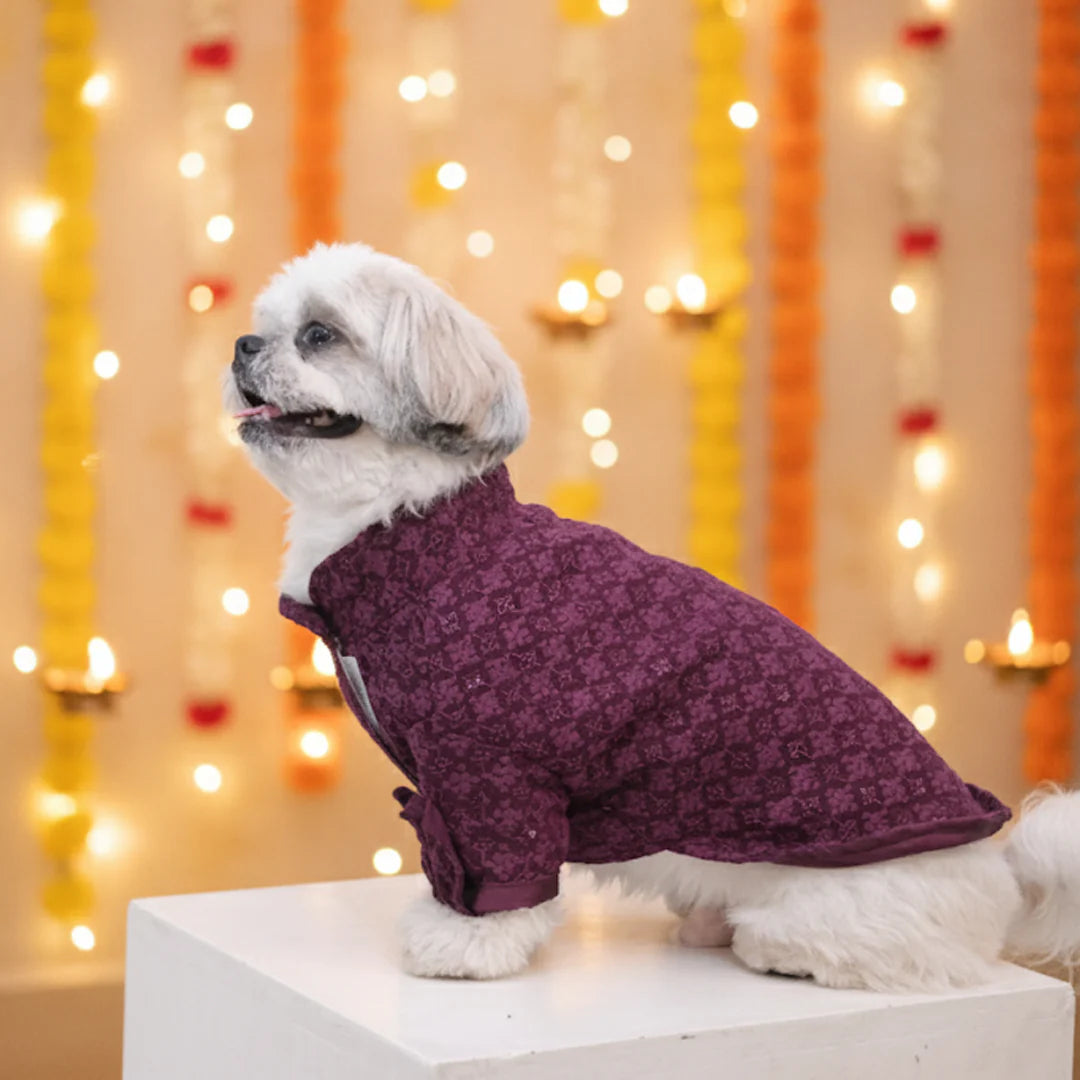 Maroon Majesty Chikankari Kurta for dogs