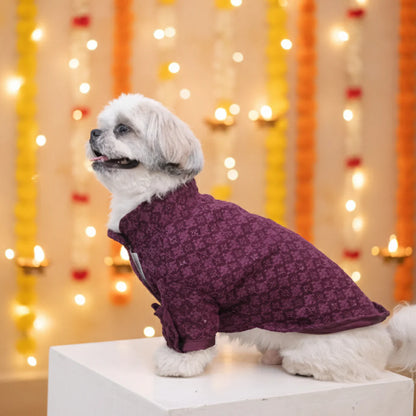 Maroon Majesty Chikankari Kurta for dogs