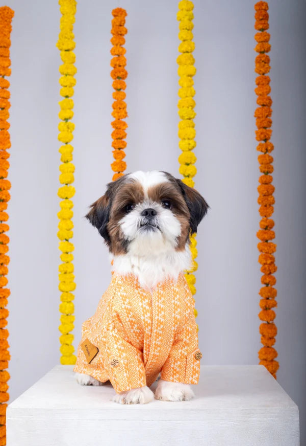 Orange Ethnic Dog Kurta Jacket