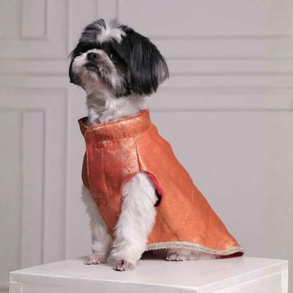 Royal Brocade Dog Kurta | Premium Festive Ethnic Wear for Dogs (Orange)