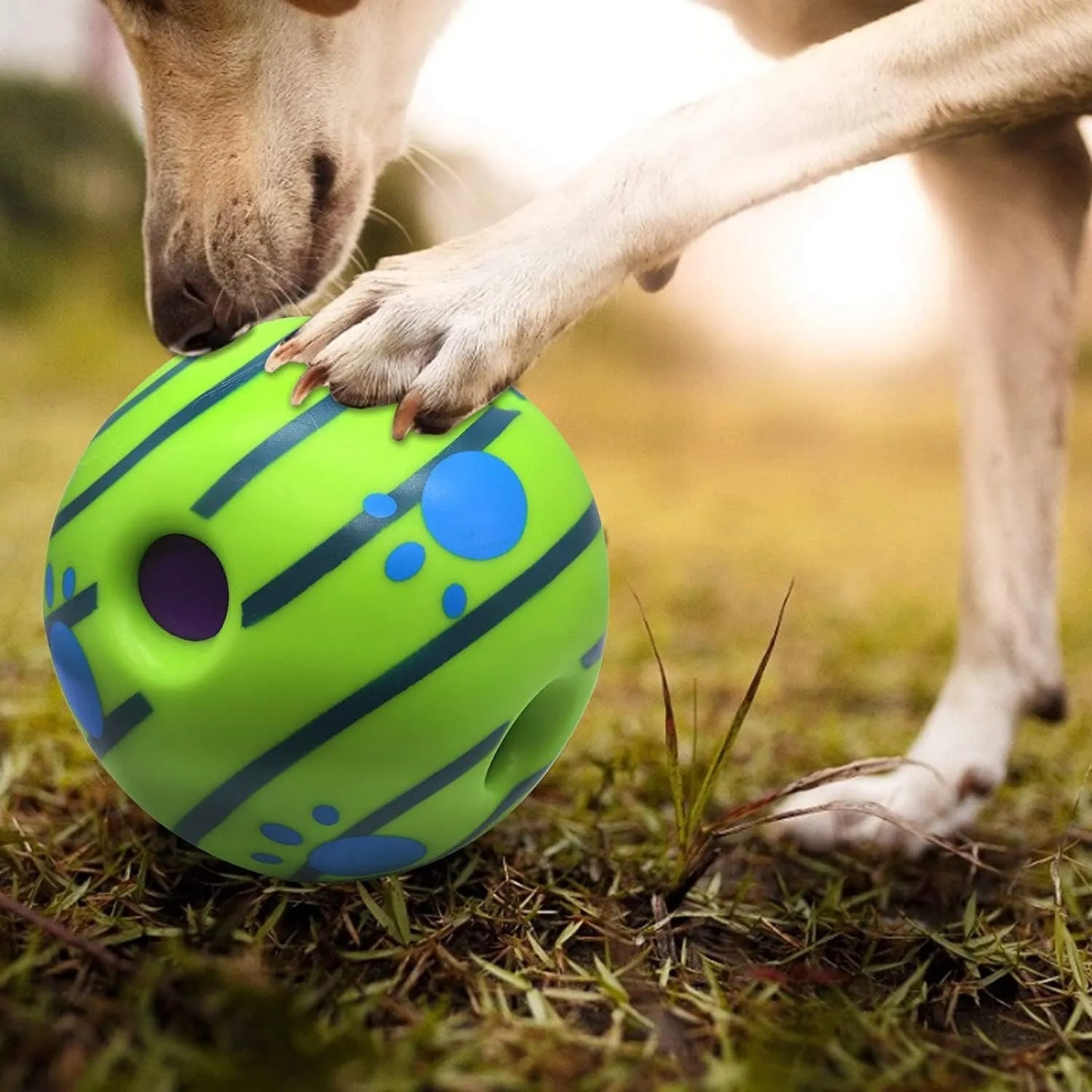 Treat dispensing dog ball with kibble inside