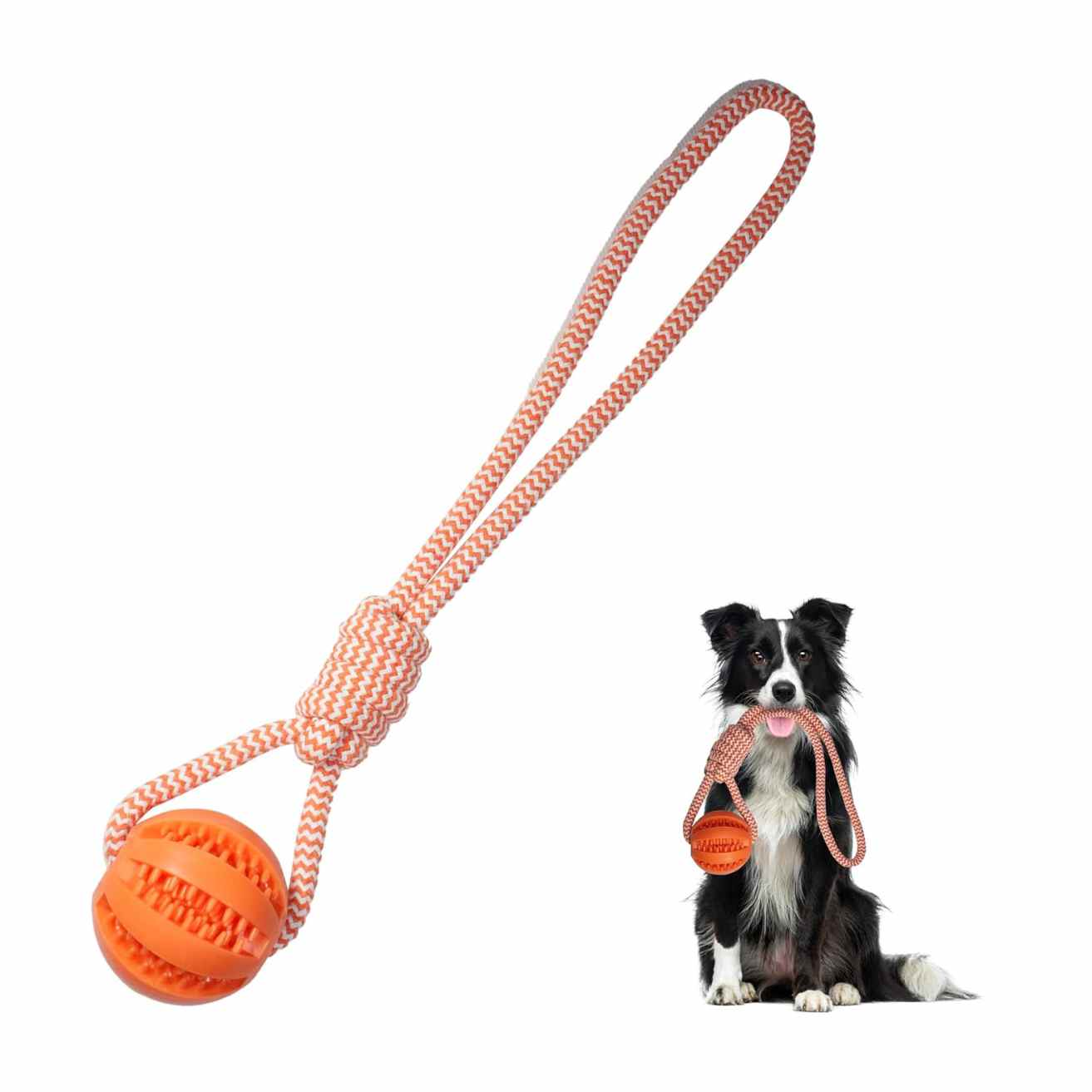 Dog Rope Toy with Rubber Ball | Tug & Chew for Puppies