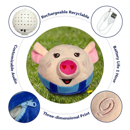 USB rechargeable interactive pet toy