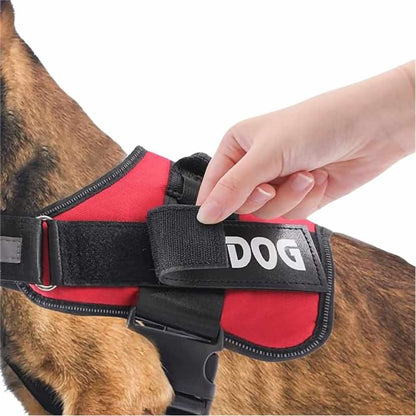 Customized Dog Harness Name Patches (Pack Of 2)