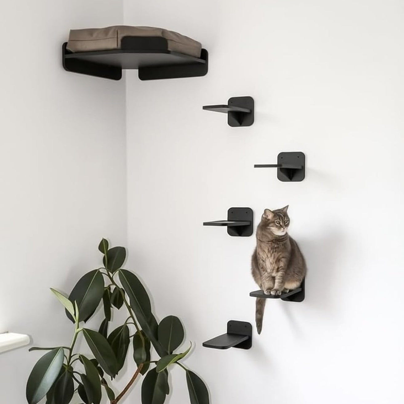 Wall Mounted Cat Shelves & Corner Climber (Black)