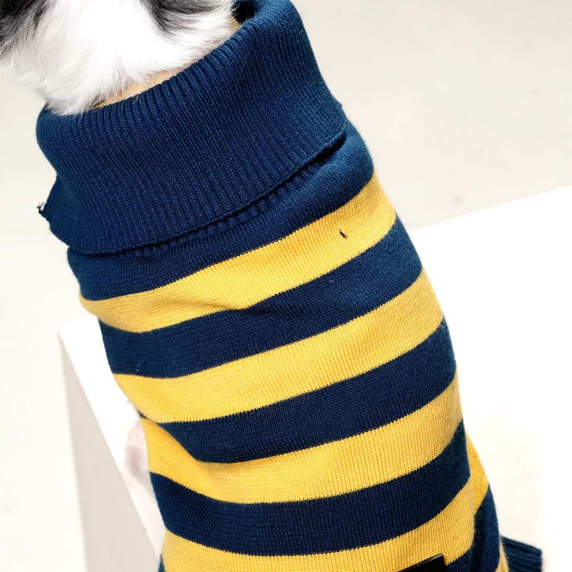 Honeybee Hug Sweater | Cozy Yellow Knit Pet Sweater