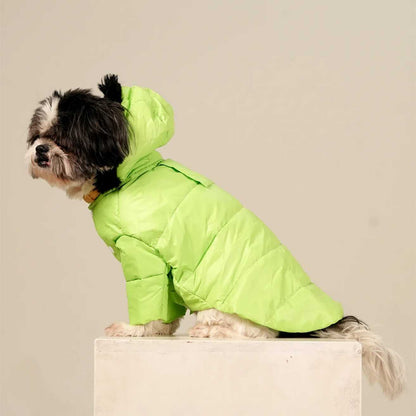 Neon Nibble Pet Hoodie | Stylish & Warm Pet Hoodie