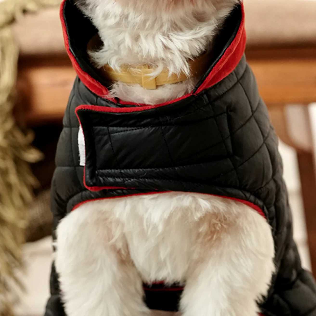 Black Luxe Quilted Pet Jacket with Red Collar | Stylish Winter Coat