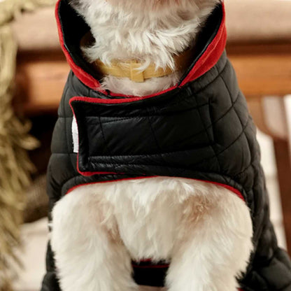 Black Luxe Quilted Pet Jacket with Red Collar | Stylish Winter Coat