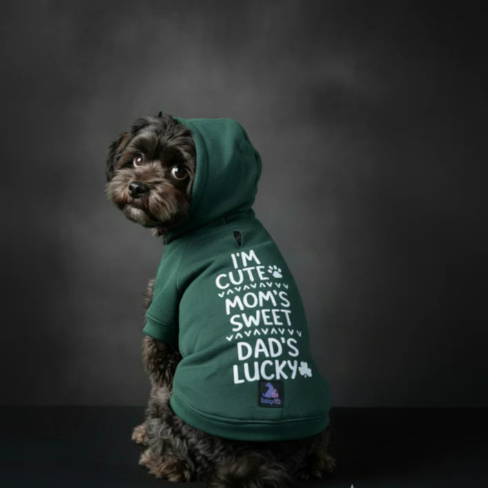 Olive Snug Hoodie | Cozy Olive Green Winter Pet Hoodie